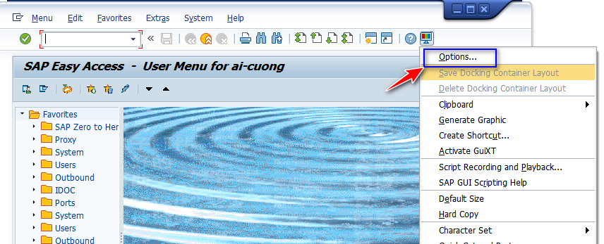SAP GUI: Understanding SAP GUI Historical Data – SAP Zero to Hero